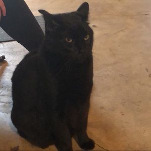 Meet your Posher, Jay